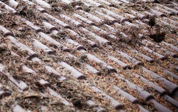 Greengates roof cleaning companies